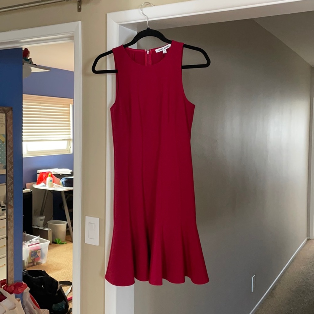 New elizabeth and James size 6 dress